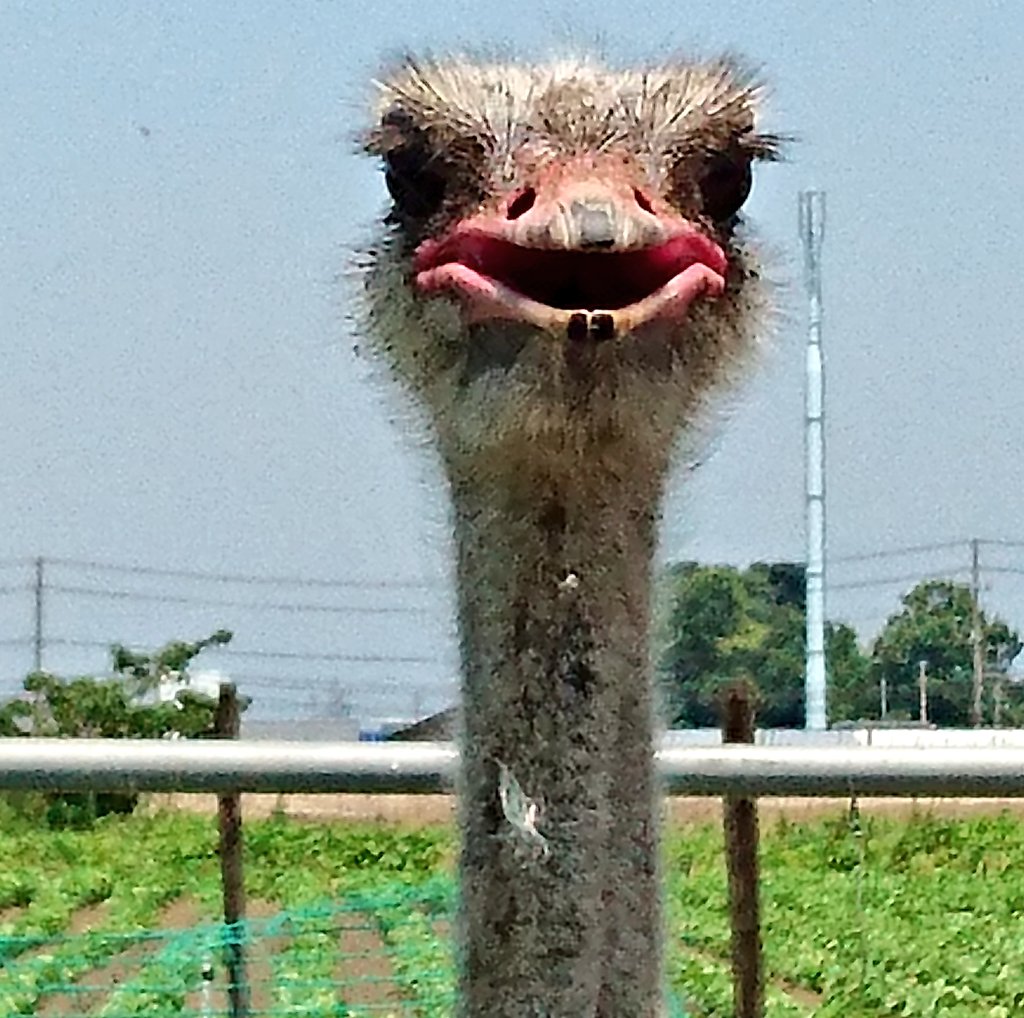 ずっと見ているからね。