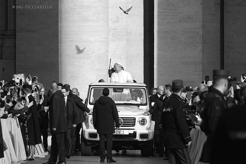 mg picciarella tweet media