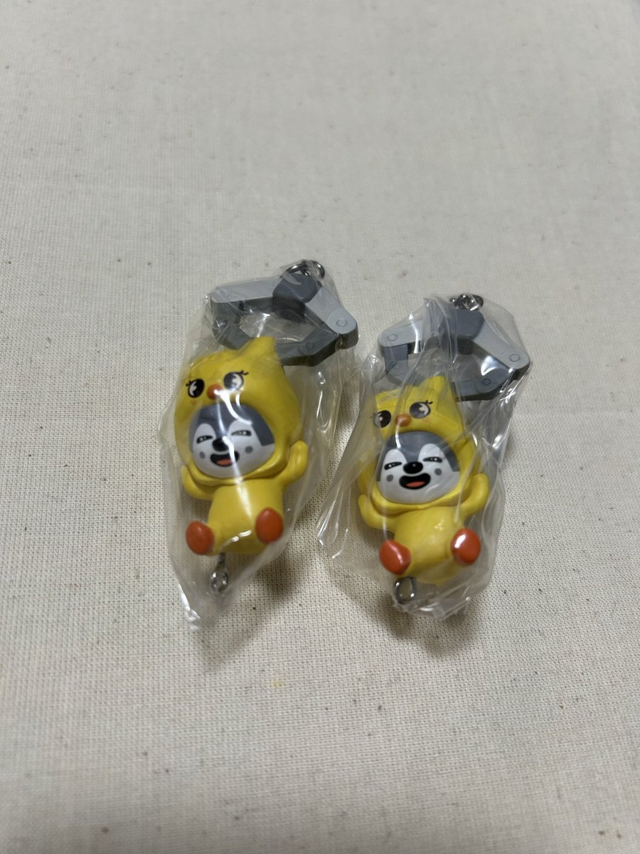 ねこちゃん tweet media