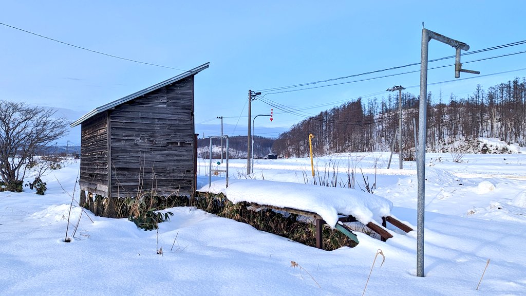 マリマリ (@marimari617) / Posts / X