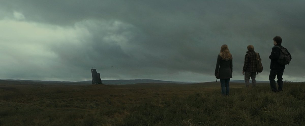 nativewarriors_'s tweet image. 