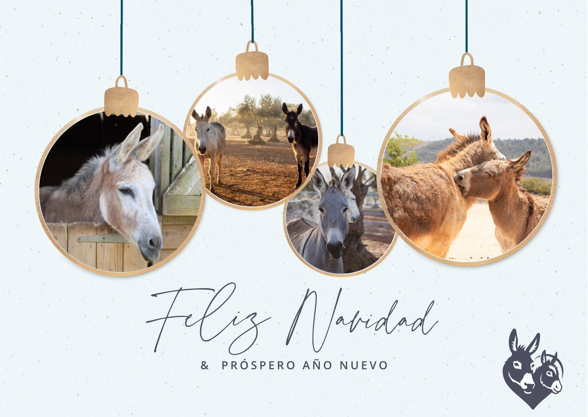 refugioburrito's tweet photo. ¡FELIZ NAVIDAD DESDE EL REFUGIO DEL BURRITO!

Gracias por acompañarnos este año y por hacer posibles que cada día mas burros tengan una buena calidad de vida. 

Que estas fiestas estén llenas de amor, paz y esperanza para todos los seres que comparten este mundo. 💙🐴 https://t.co/TX0Lhf6uxW