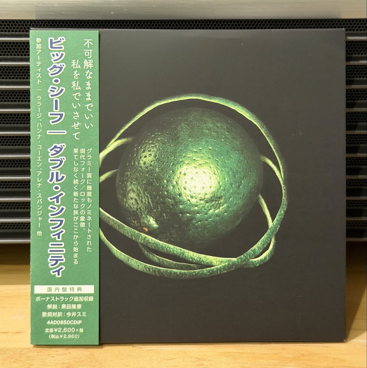 2025年の新譜を振り返る Big Thief-Double Infinity つくづく音楽の神