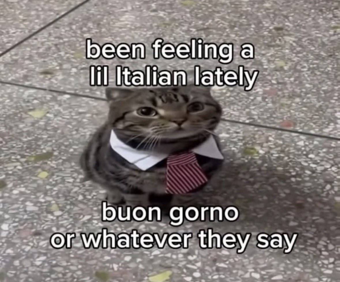 raccoonesthetic's tweet image. 