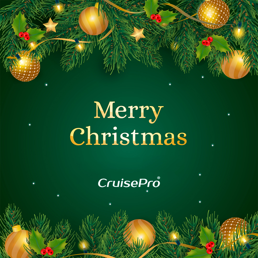 CruisePro1's tweet photo. @CruisePro1 wishes you a wonderful Christmas filled with memories you'll always treasure. Merry Christmas To Everyone.

#Christmas2025
#Festiveseason
#traveltechnologycompany
#cruisepro https://t.co/U9tYdOj0ea