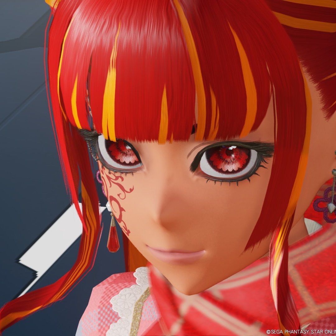 こっちはもはや正月対策である にしてもうちの子は美人だなあ！！