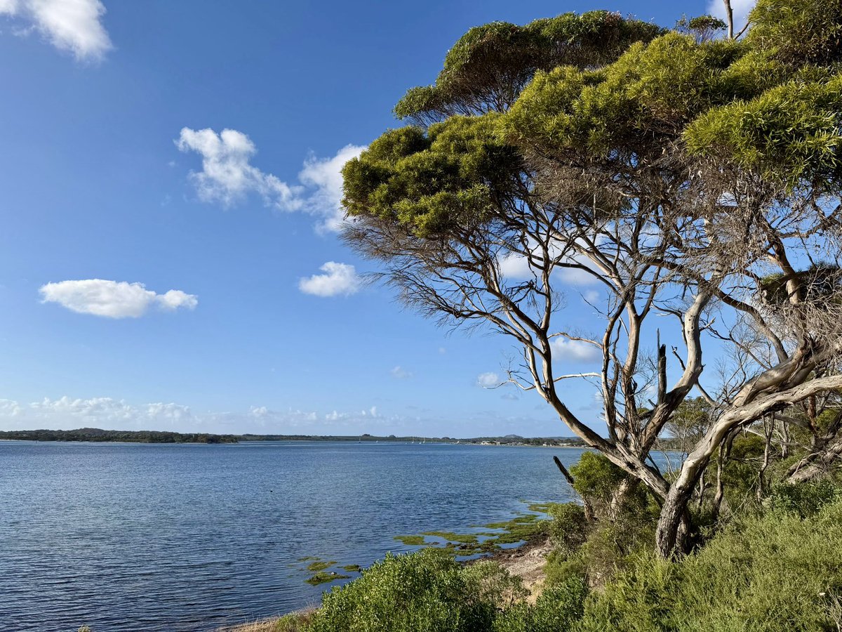 Not Out Travel tweet media