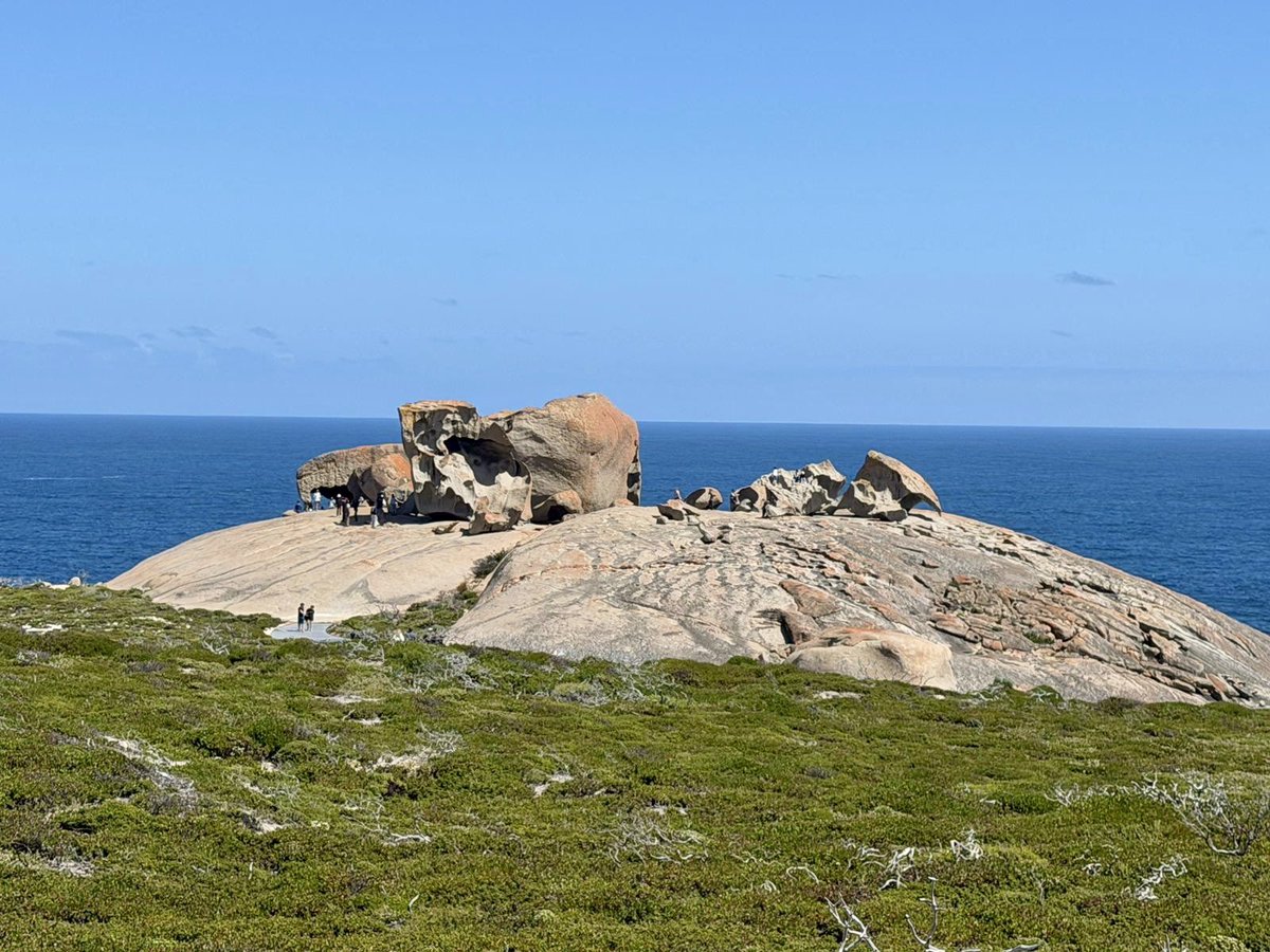 Not Out Travel tweet media