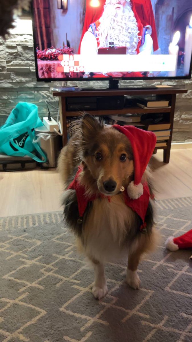 Ville Ahlgren tweet media