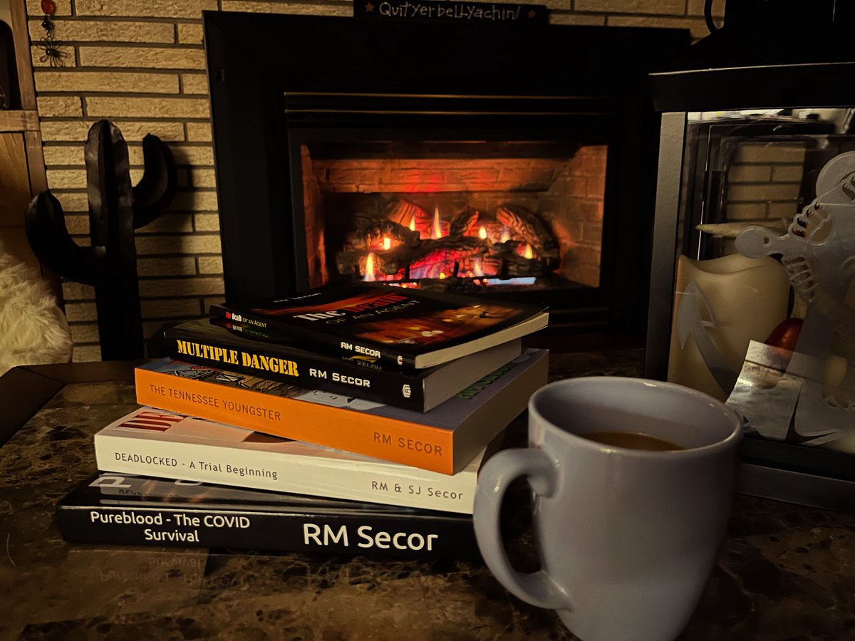 AuthorRMSecor's tweet image. #books #writingcommunity #fireplace #Christmas nothing better than a cozy place, coffee and a book. Merry Christmas everyone.