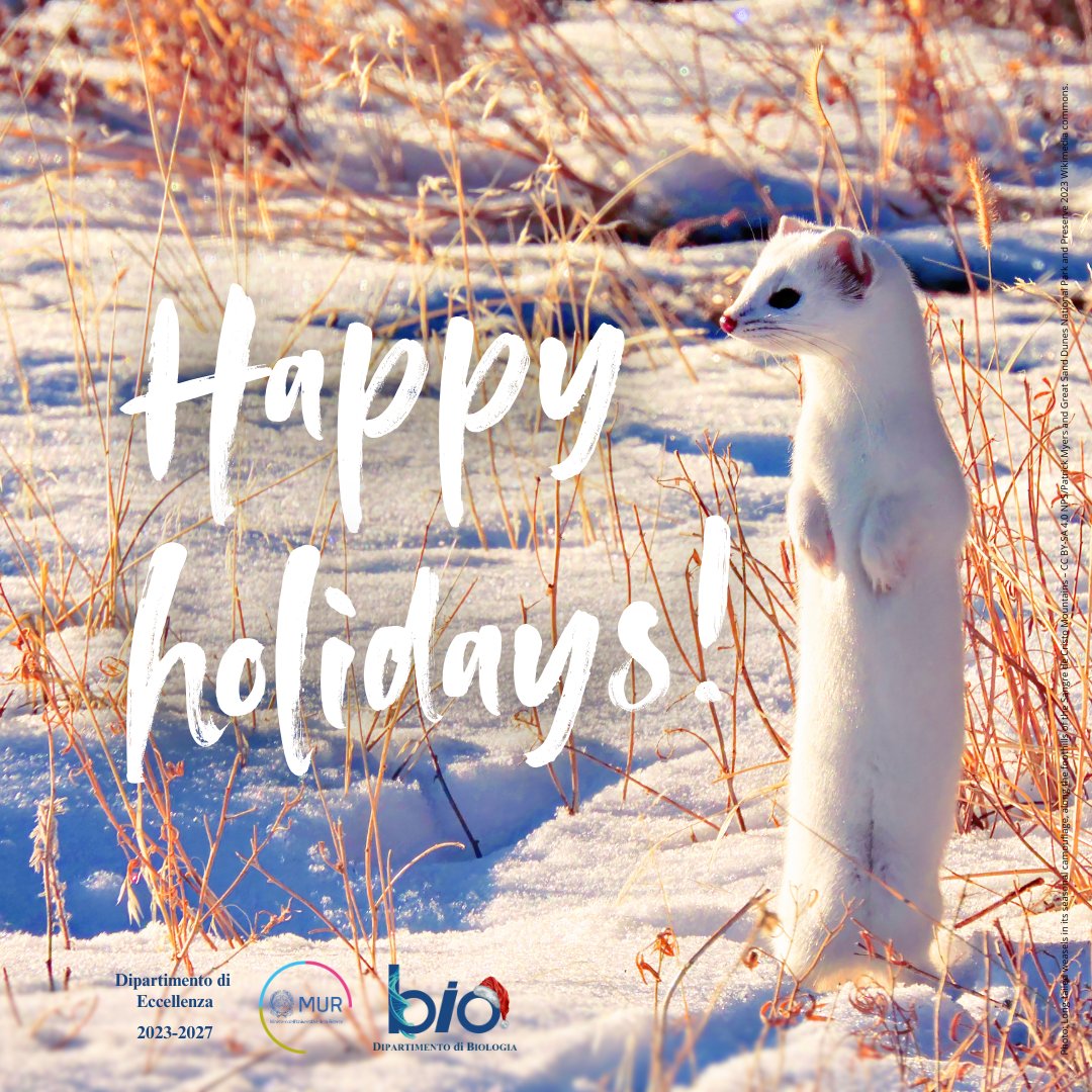 Dipartimento di Biologia - UniPisa tweet media
