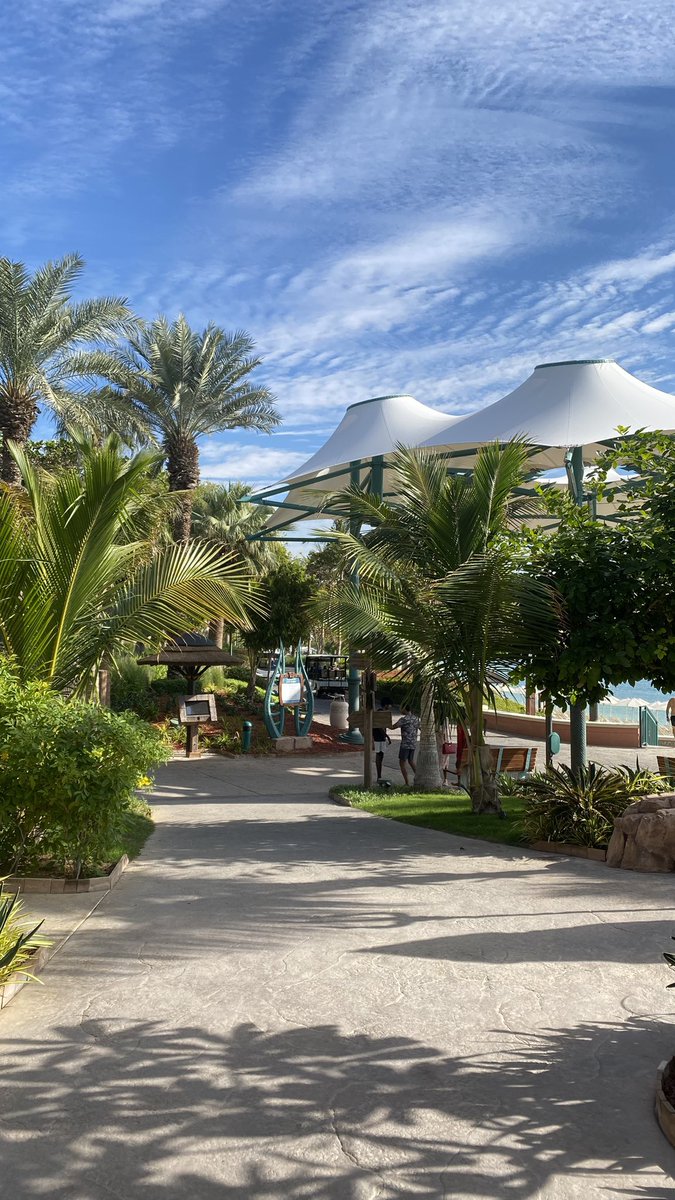 ๐ฉ๐ป๐๐ ๐๐๐ช tweet media