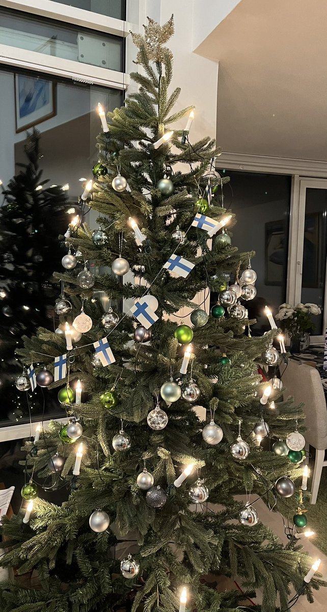 Iloista joulua! Merry Christmas! #joulu2025