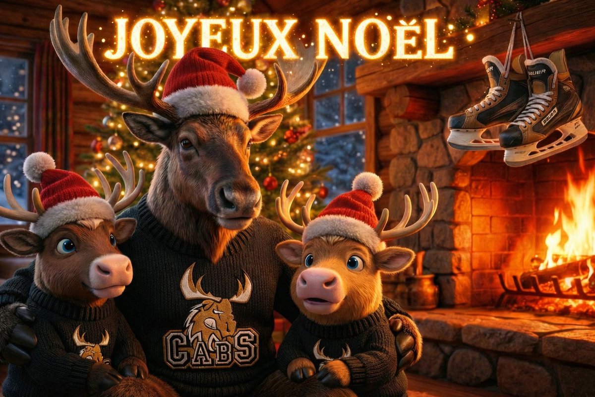 🎄 Joyeuses fêtes à toute la #FamilleCABS 🦌🏒
Les Caribous77 remercient leur communauté et vous donnent rendez-vous après la trêve ❄️🔥
💛🖤 #JoyeusesFêtes #Caribous77 #Hockey