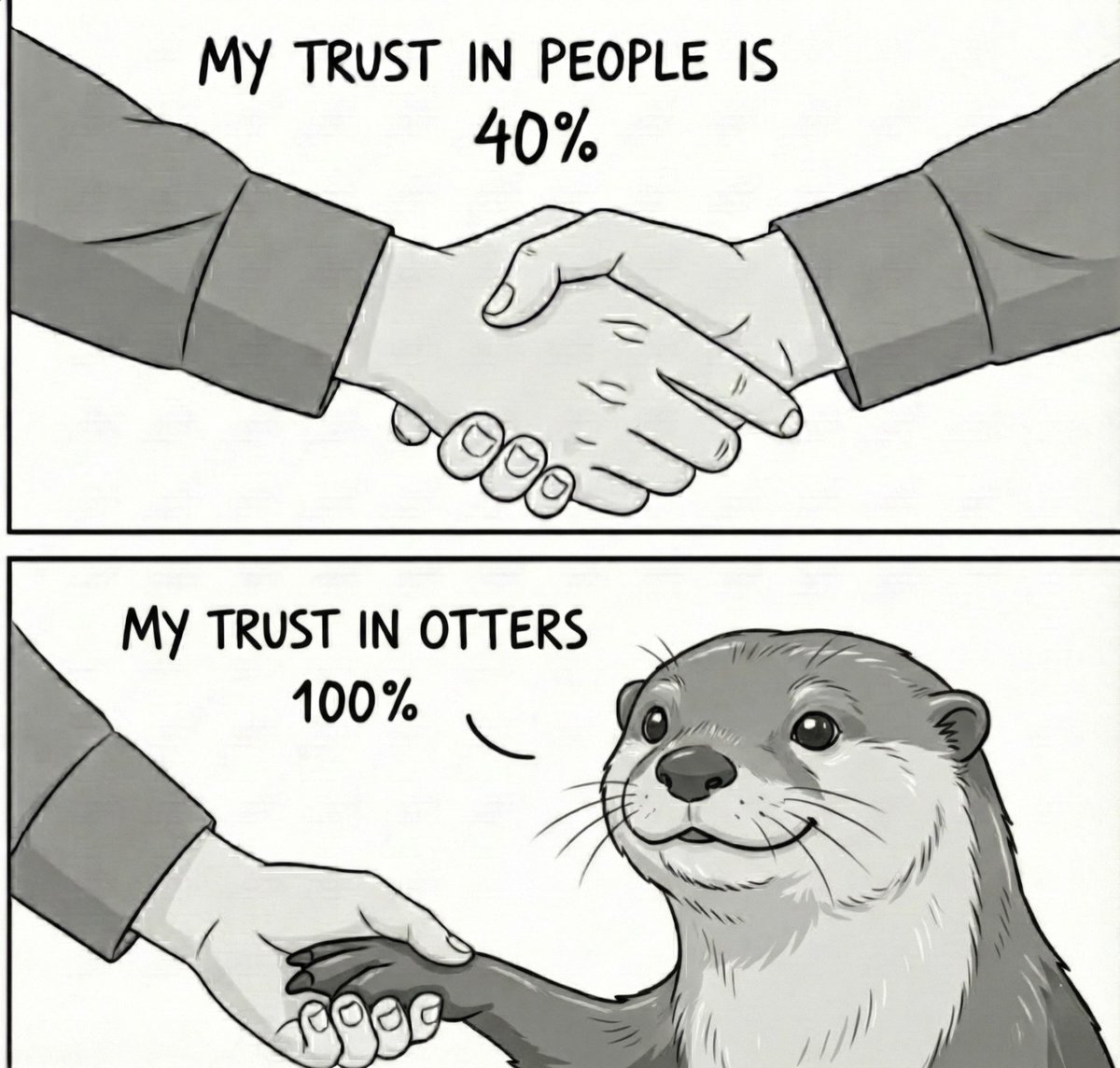 otter_fans_club's tweet image. 