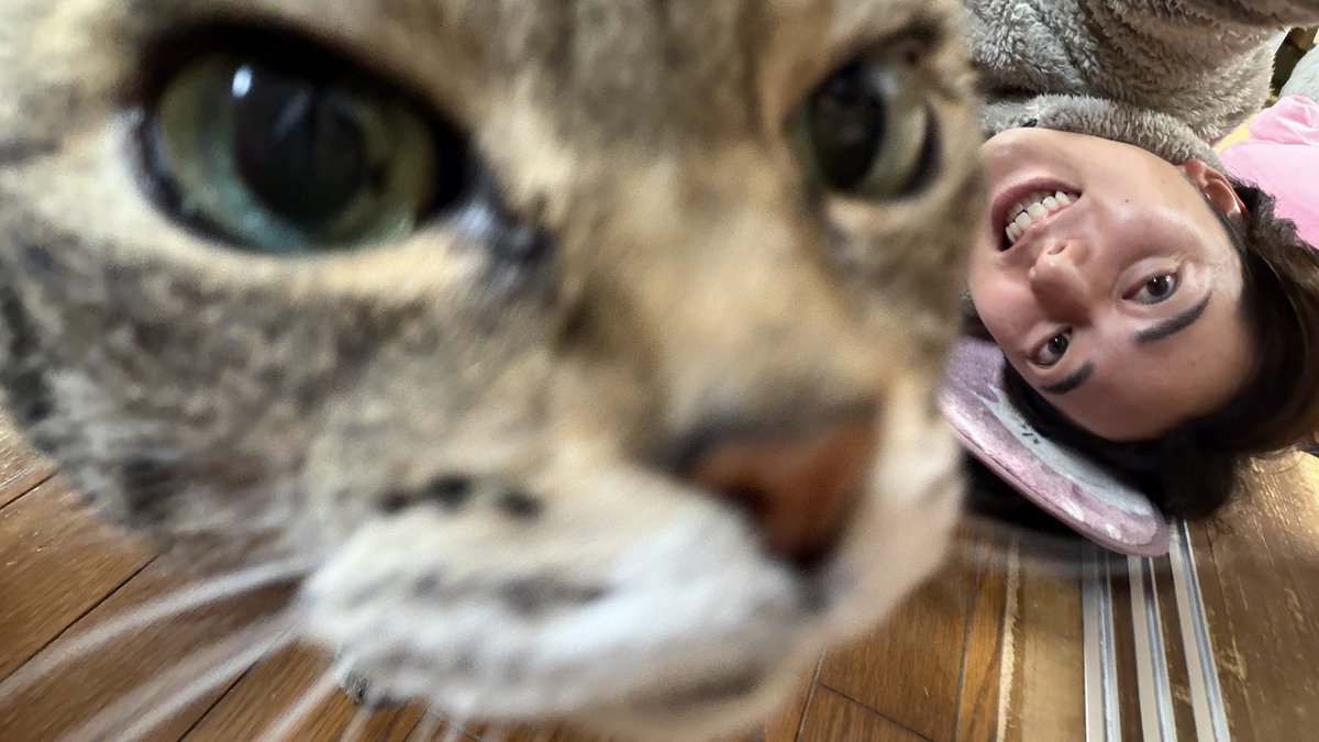 本日クリスマイブ🎄

うりぼーご乱心。