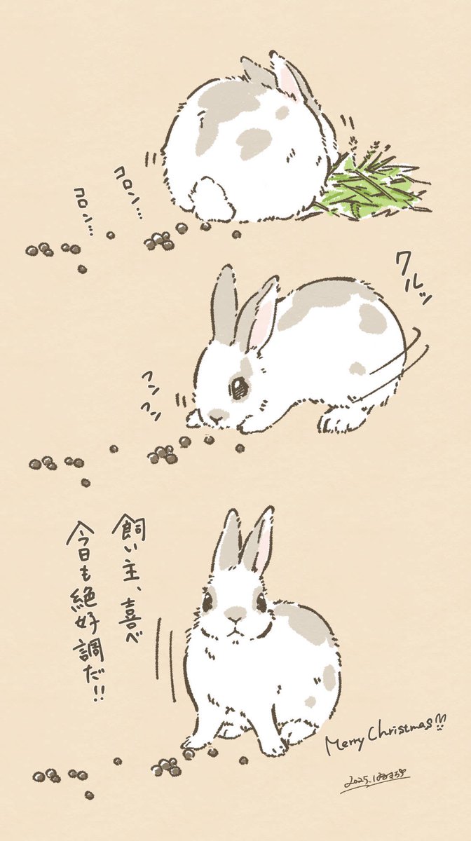 リリィ様 Amazon | Fate/unlimited codes セイバー・リリィ (1/8スケールPVC塗装