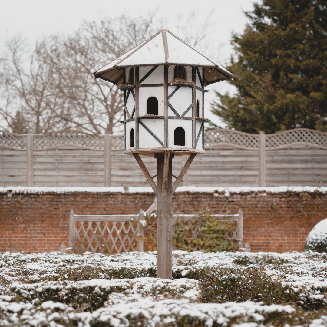 Whitgift School tweet media