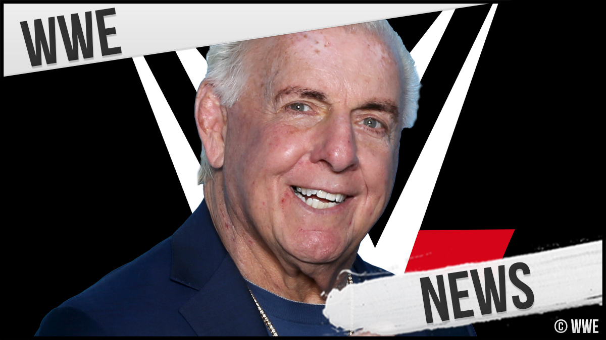 „Das ist Fiktion, als Anklage verkleidet!“: WWE Hall of Famer Mike Tyson und Ric Flair ziehen vor Gericht - wrestling-infos.de/327799.html