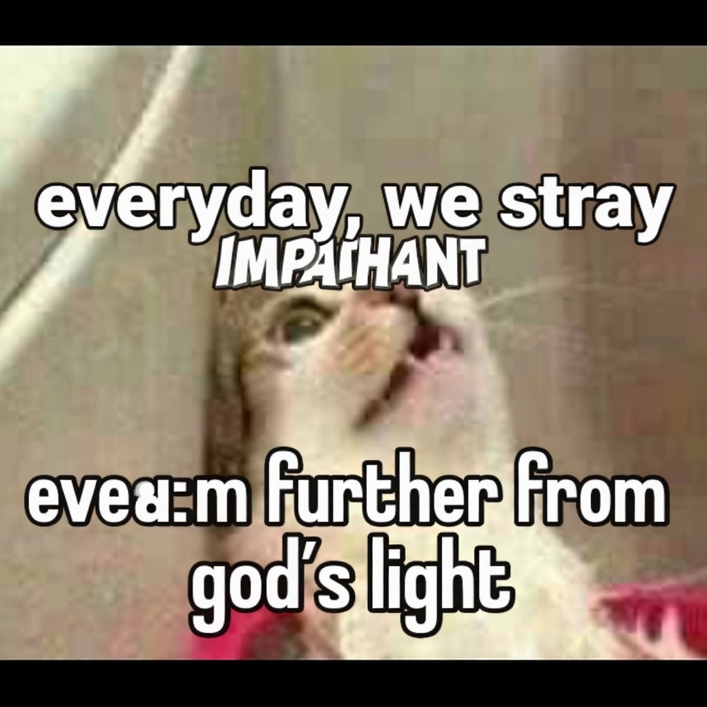 AugustoCOSantos's tweet image. 