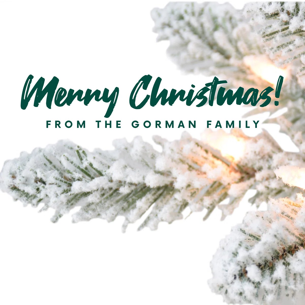 🇺🇸TracyLGorman🇺🇸 tweet media