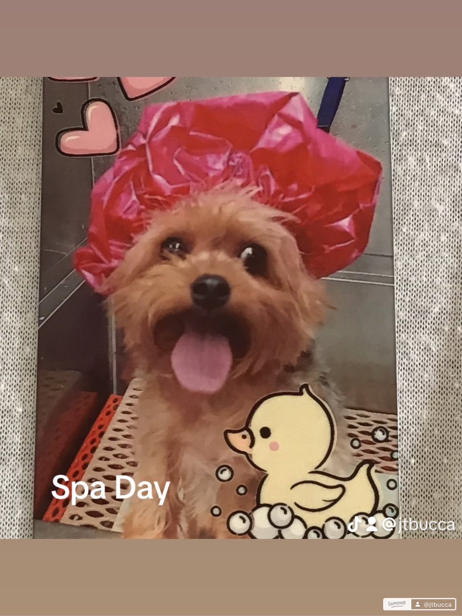 Judith Losee tweet media