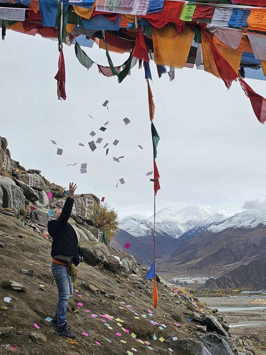 annette cornelisse tweet media