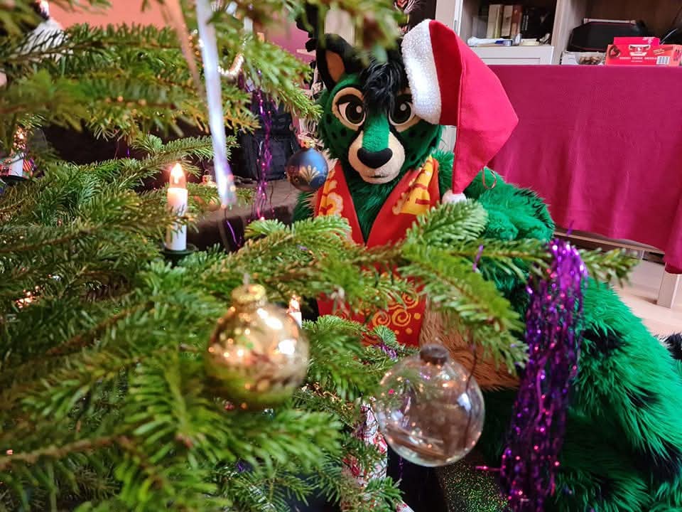 Sachsen Furs e.V. tweet media