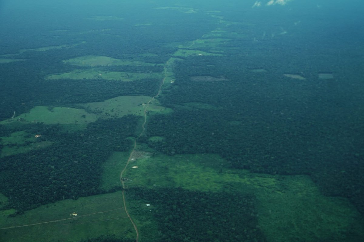 Mongabay Latam tweet media