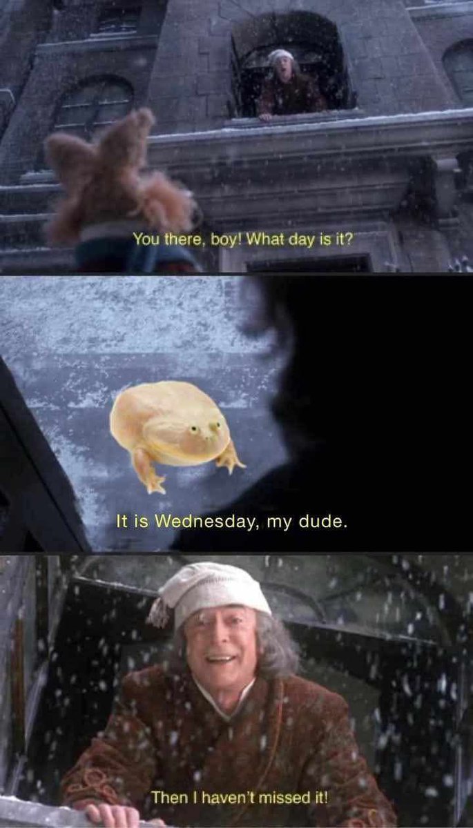 realprsn4sure's tweet image. Merry Wednesday Christmas Eve