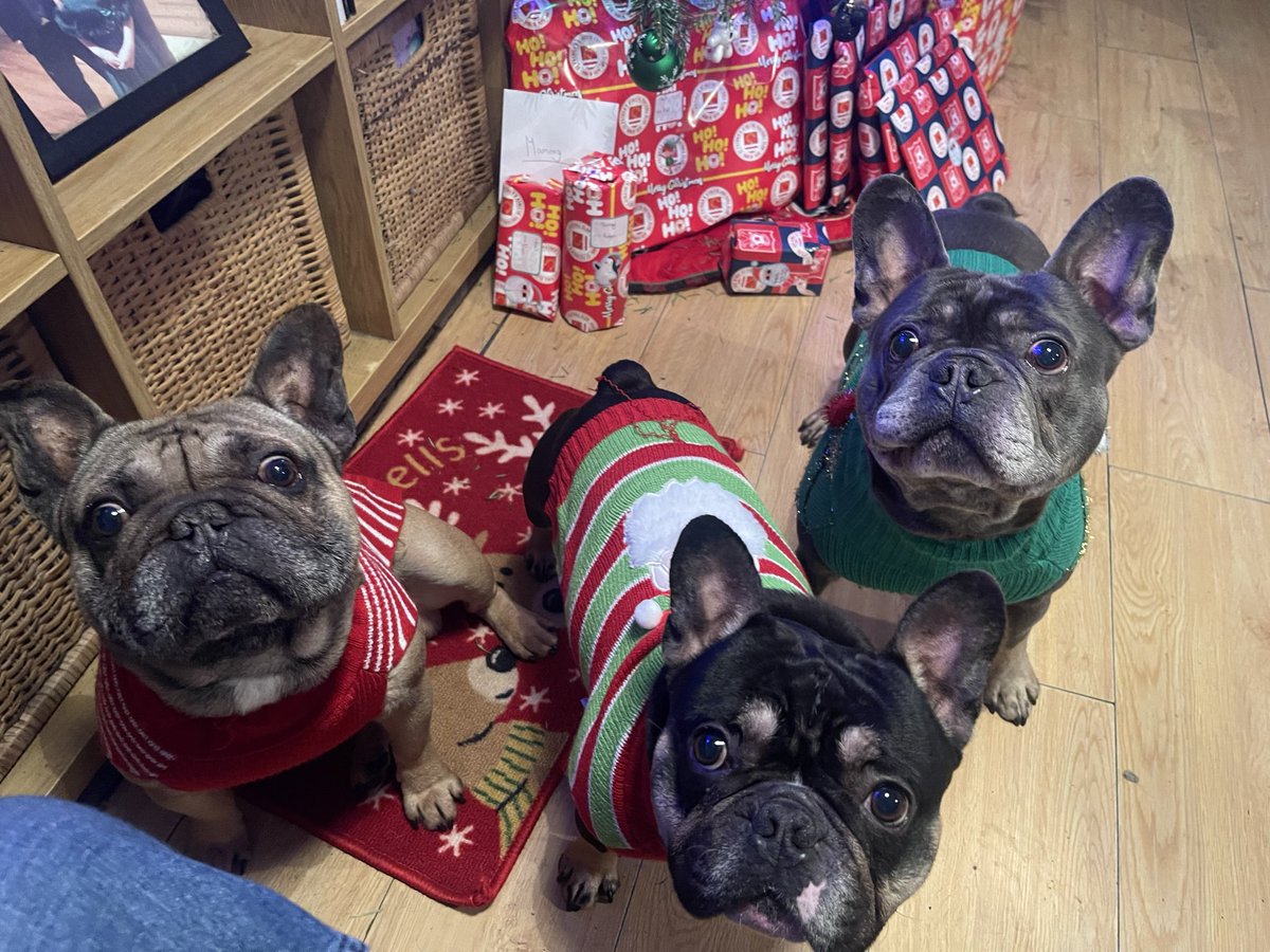 BreakingBrads's tweet photo. The lads are ready for the big man! 🎄 https://t.co/GoCLRUSsqi