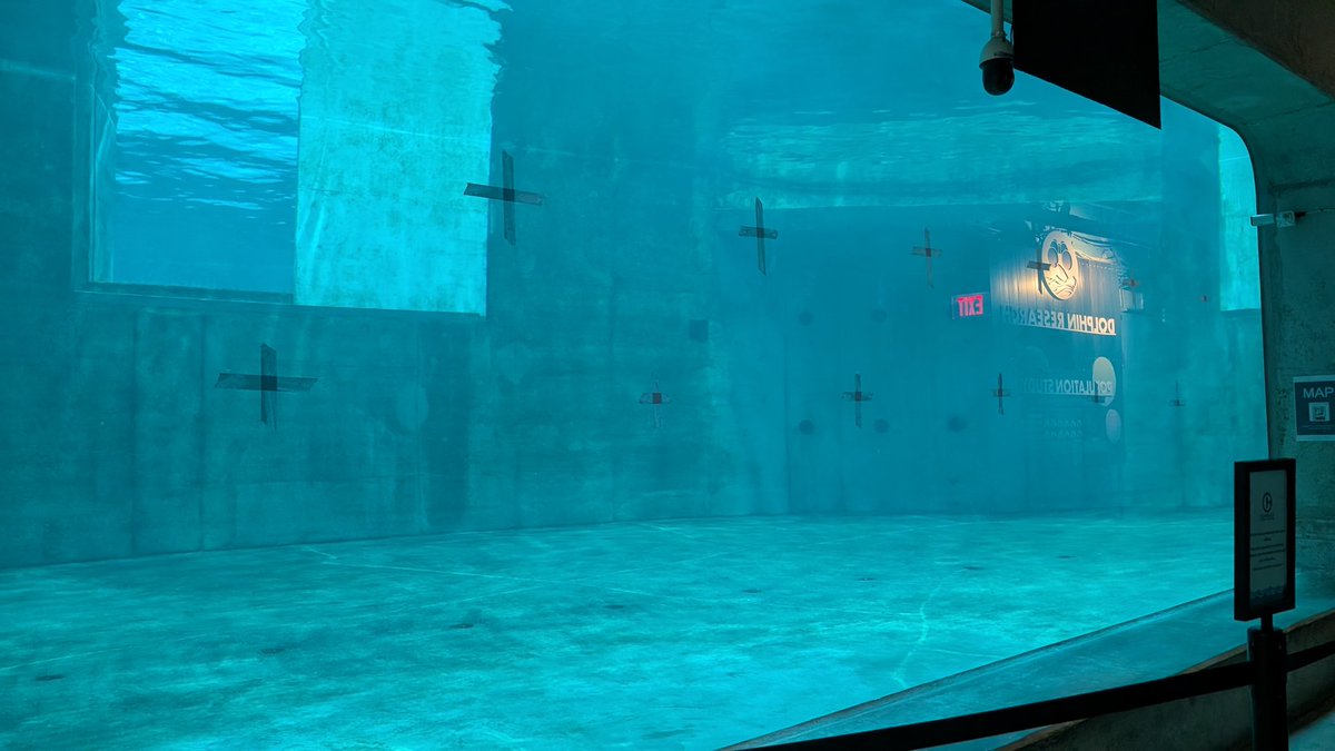 CompleteBedlam's tweet image. Gating day with Star and Squirt!