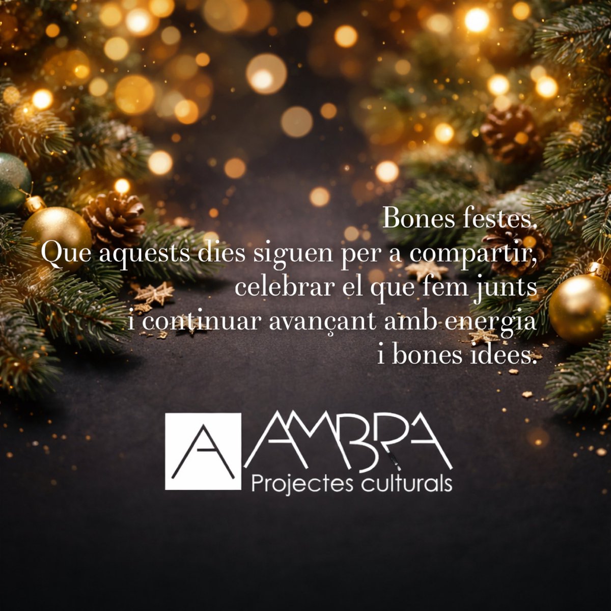 Ambra PC tweet media