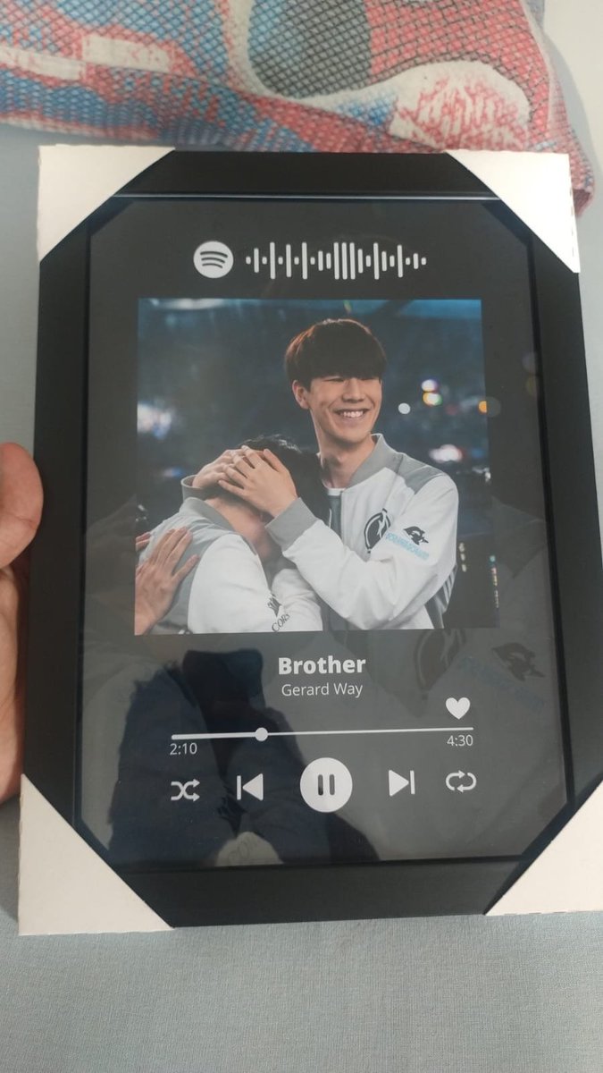 the shy &amp; rookie