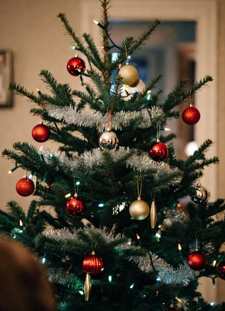 CualquieraMujer's tweet image. Felices fiestas ❌
Feliz navidad a todxs ❌
Feliz navidad a todes ❌
Feliz navidad a todas y todos ❌
Feliz navidad a todos ✔️