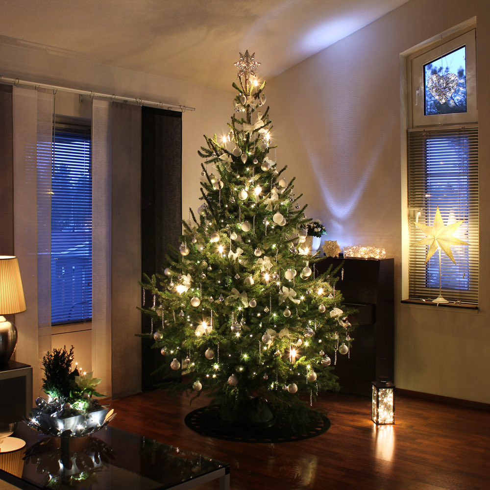 Je vous souhaite à toutes et tous de bonnes fêtes de fin d’année. Profitez en pour vous déconnecter un peu des réseaux comme moi et aller voir vos proches.  🎄🎁

Grosses pensées à Alfred et Séverine du LTJV, vous êtes des warriors ♥️

Rendez-vous en 2026 pour une année de folie