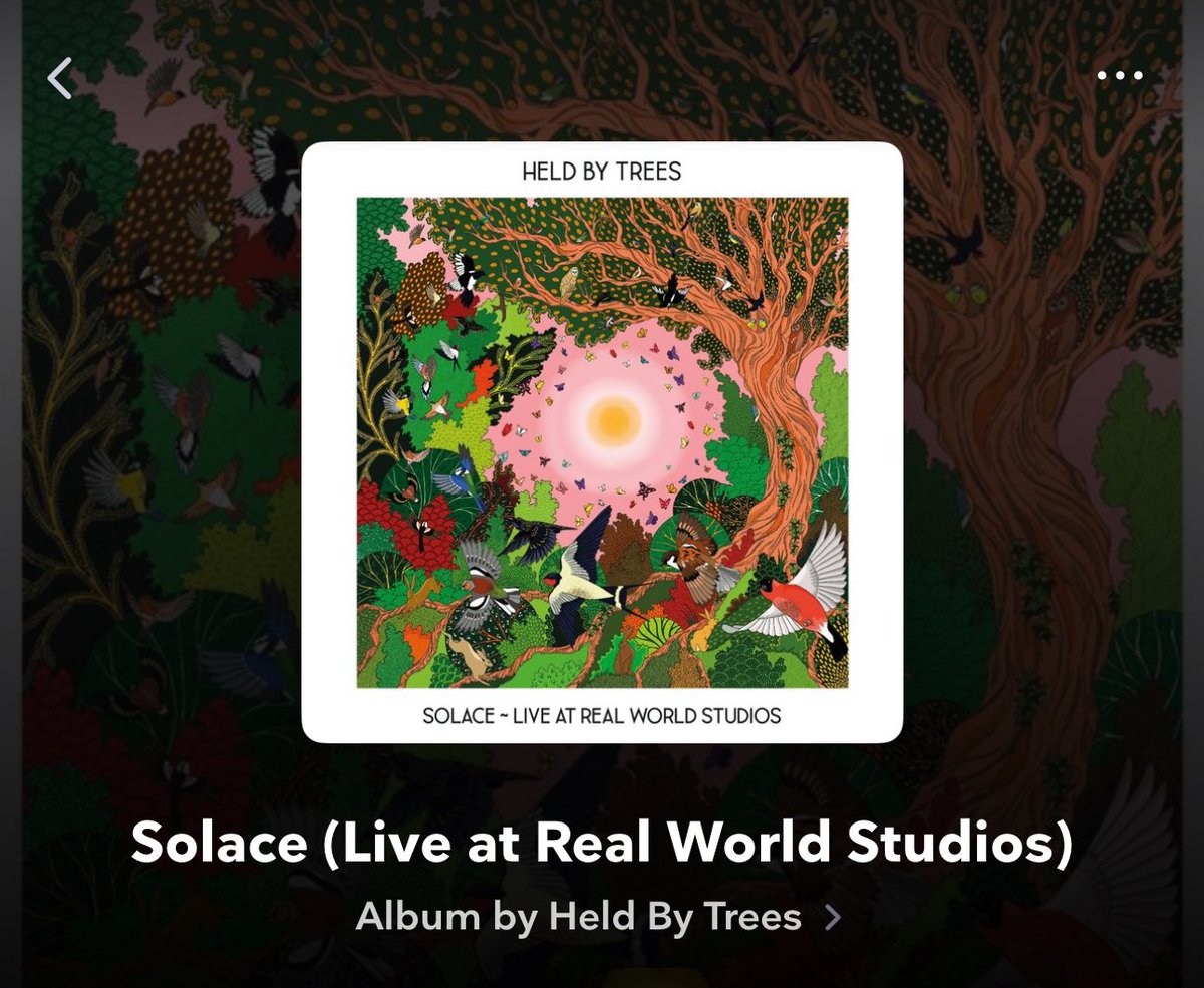 heldbytrees tweet media