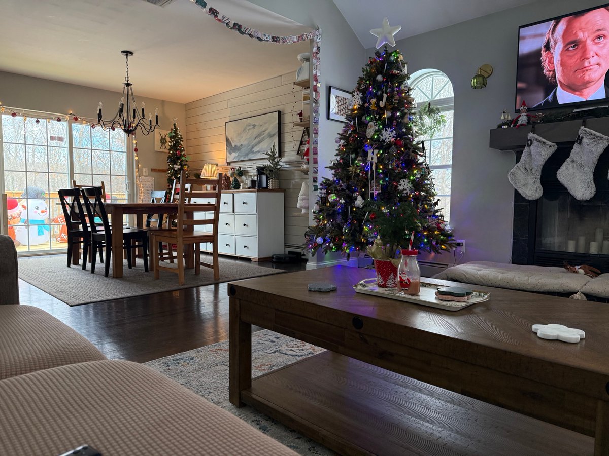 Christmas Americana 🎄🇺🇸