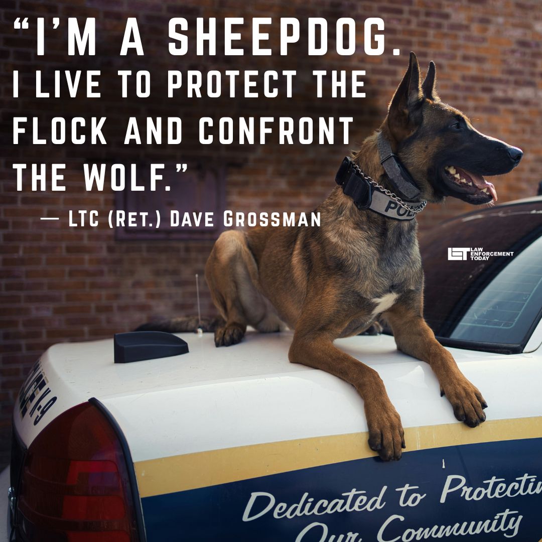 bluelivesmtr's tweet photo. We love and respect our K9 warriors. https://t.co/3thmJzV0kE