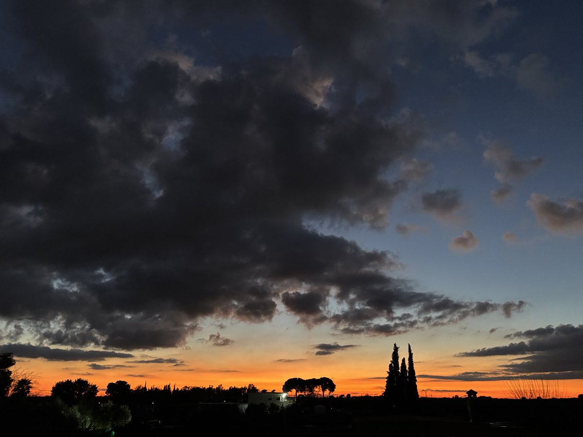 José Paneque tweet media