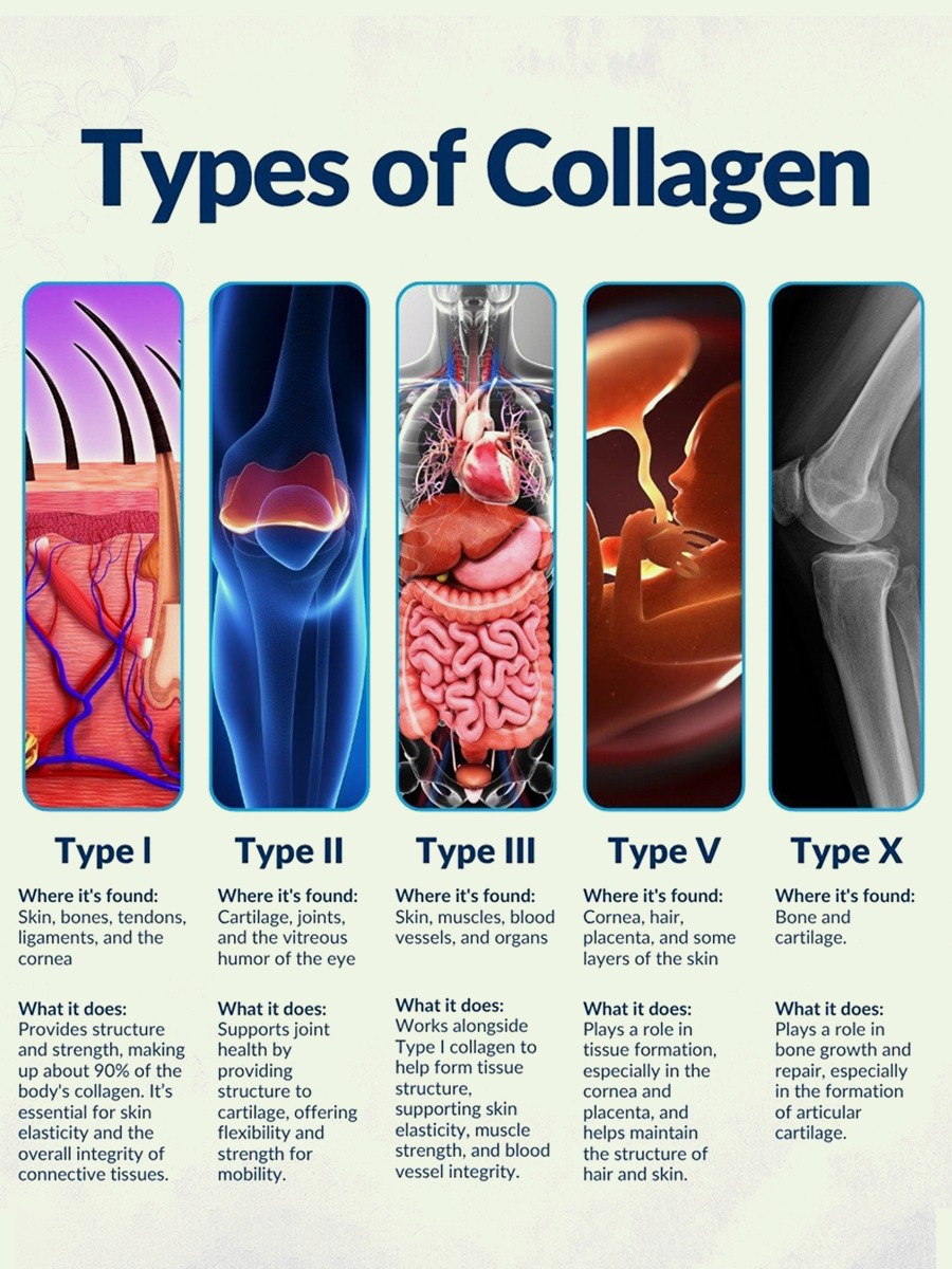 cooltechtipz's tweet image. Types of Collagen