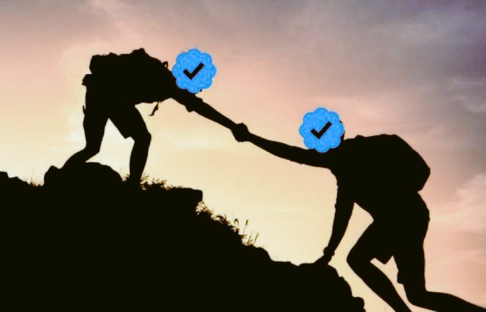 Enzo tweet media