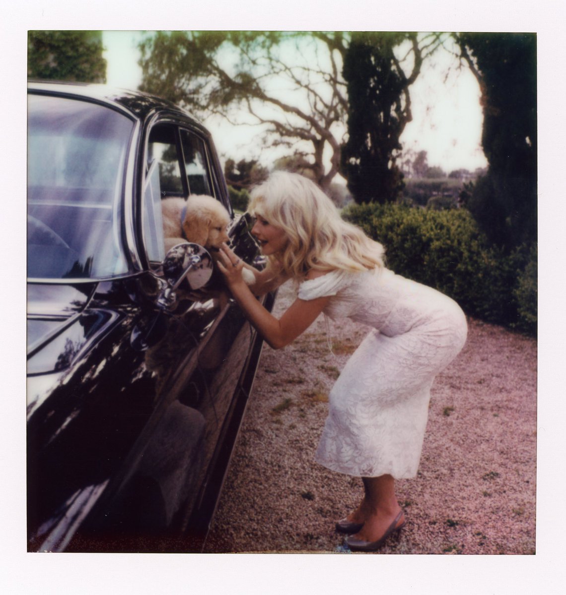 to thank you for such a beautiful year …and to supply whoever needs a cathartic christmas crashou...