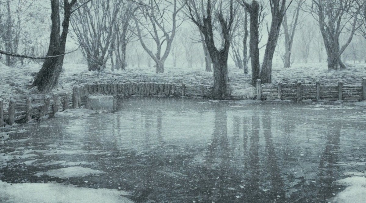 CINEMA505's tweet image. Call Me by Your Name (2017) Dir. Luca Guadagnino