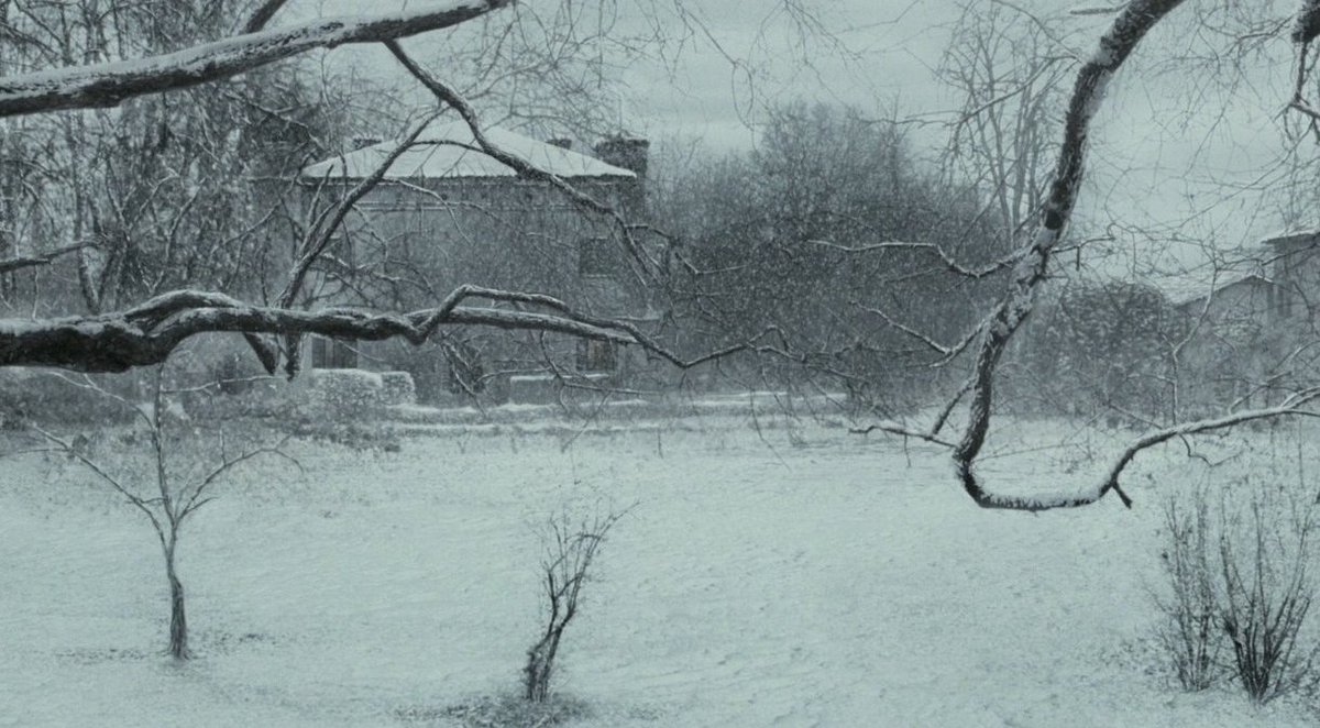 CINEMA505's tweet image. Call Me by Your Name (2017) Dir. Luca Guadagnino