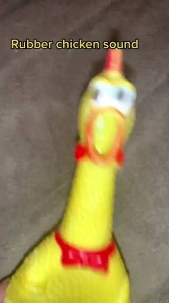 The higher we go the louder it screams $SRC