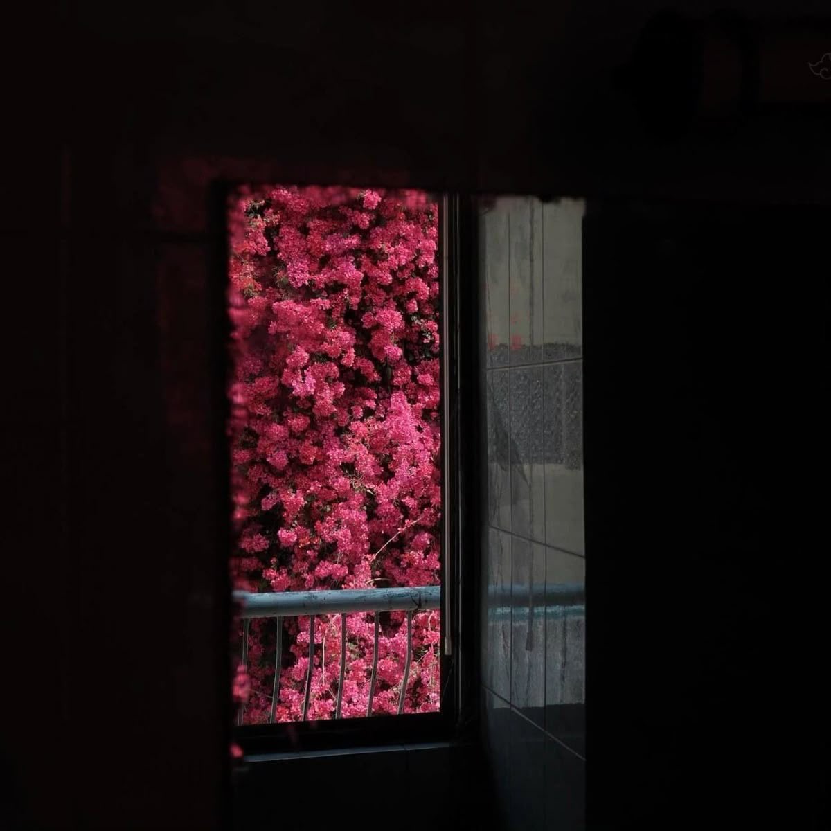 بحر 🌊 (@butterflless) on Twitter photo 