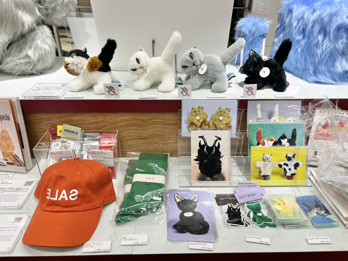 せこなお (@sekonao) / Posts / X