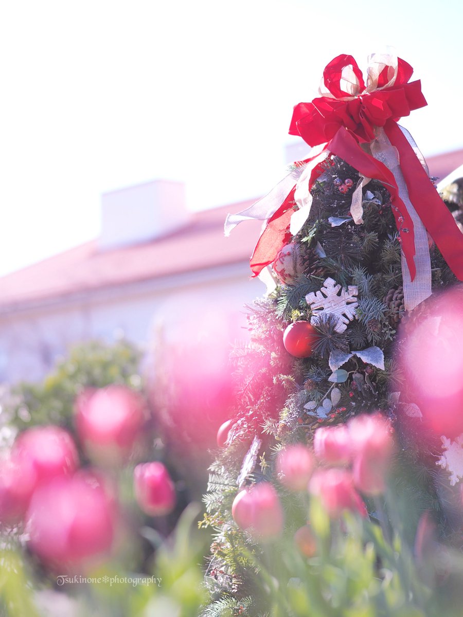 🐰𝚁𝚒𝚗𝚛𝚒𝚗…📸♥️𓂃ꕤ︎︎·͜· (@7725rirarin) / Posts / X