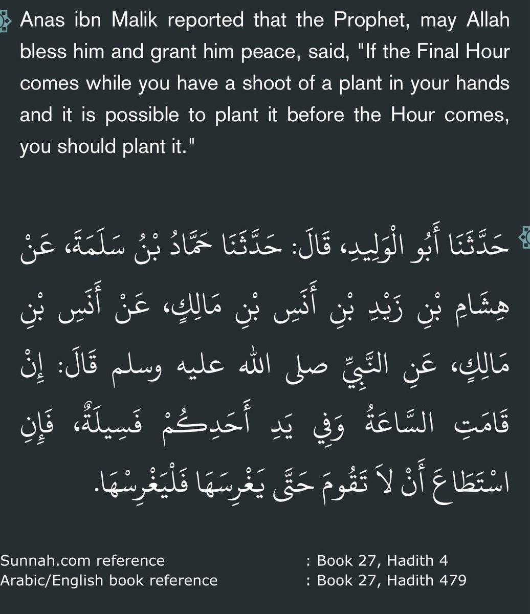 moonbubbles3's tweet photo. such a beautiful hadith to remember that we can change / start again as long as are alive 🌱 https://t.co/hvDROdMRnM
